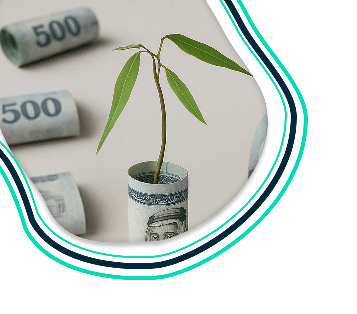 تمويل نمو